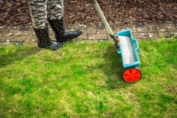 Fall Maintenance Tasks To Do Now, Like Seed Your Lawn