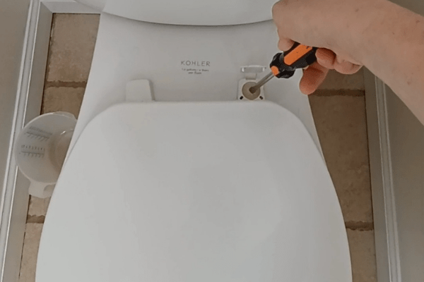 Remove Toilet Seat To Install Bidet - The Daily DIY