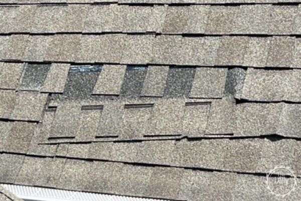 Inspect Roof for Spring Maintenance