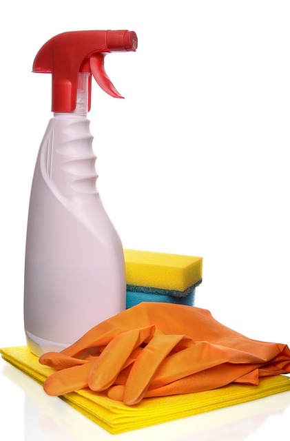 Cleaning Supply Recommendations - The Daily DIY