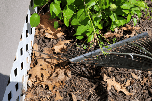 Rake up flower beds - The Daily DIY