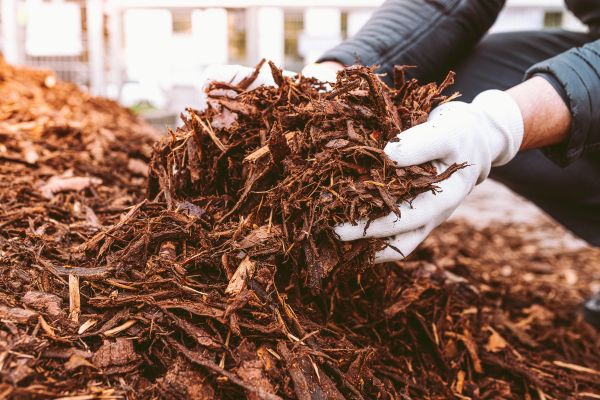 how to put down mulch