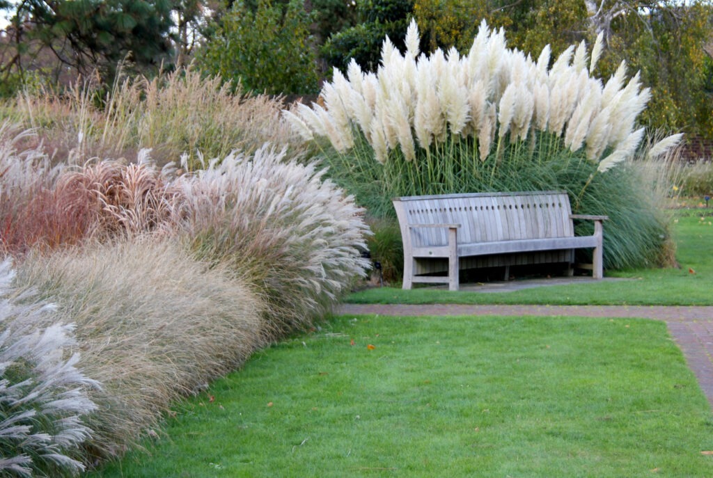 when to cut back ornamental grass