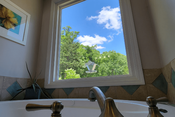 Replacement Windows - The Daily DIY