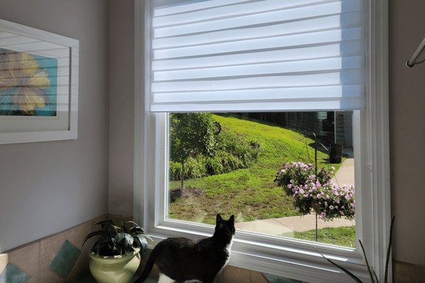 Easy To Install Window Shades - The Daily DIY