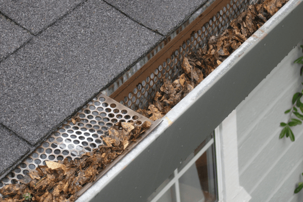Gutter Guards can still cause problems The Daily DIY