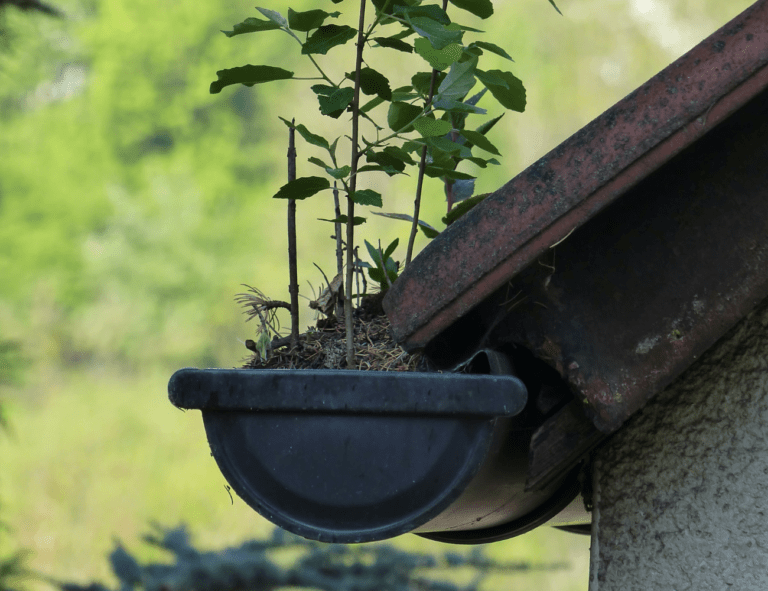 Best Time To Clean Your Gutters