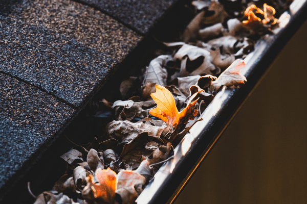 Best Time To Clean Your Gutters The Daily DIY