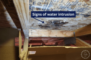 Attic Inspection: How and Why You Should Do It Now - The Daily DIY