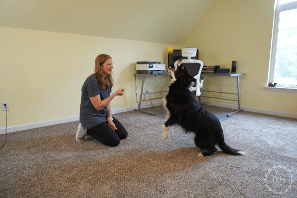 Easy DIY Install Carpet Squares The Daily DIY