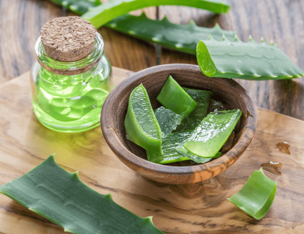 aloe vera plant benefits