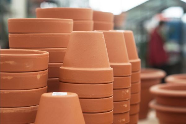 Terra Cotta pots for aloe vera